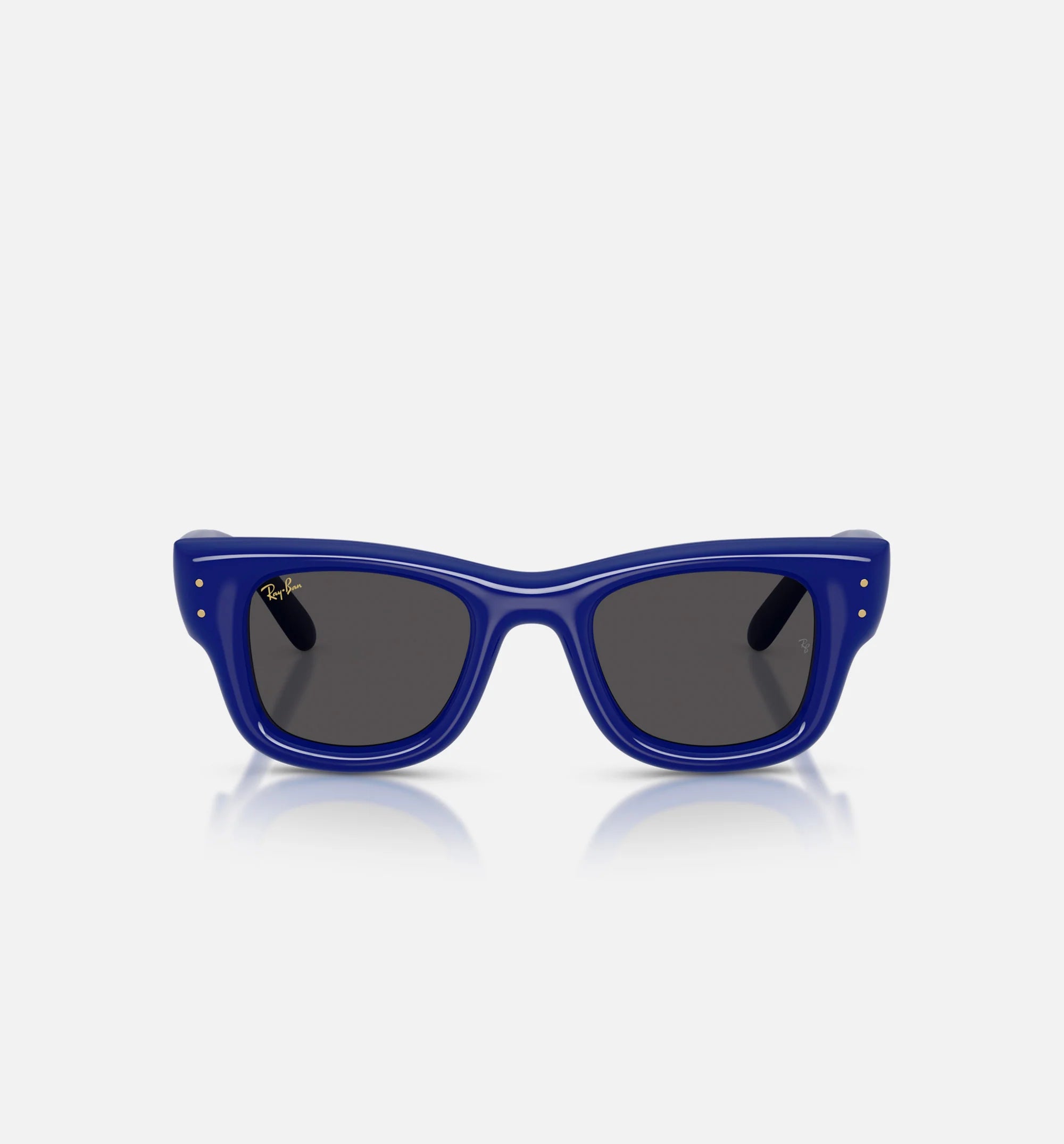 AAP Rocky x The Wayfarer Puffer Mens Sunglases Blue