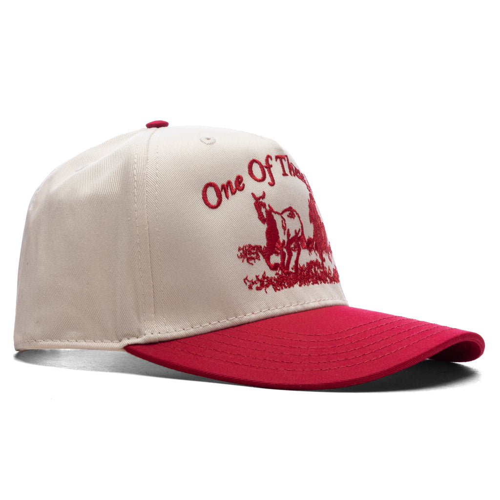 Just For A Moment 5 Panel Hat Natural Red