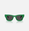 The Wayfarer Puffer by AAP Rocky Mens Sunglasses Green