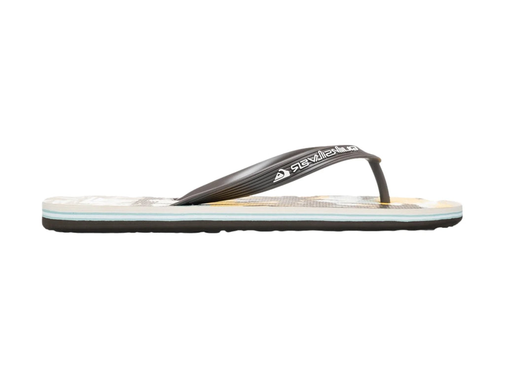Sandalias Quiksilver Molokai Art Birch Tropicamo para Hombre