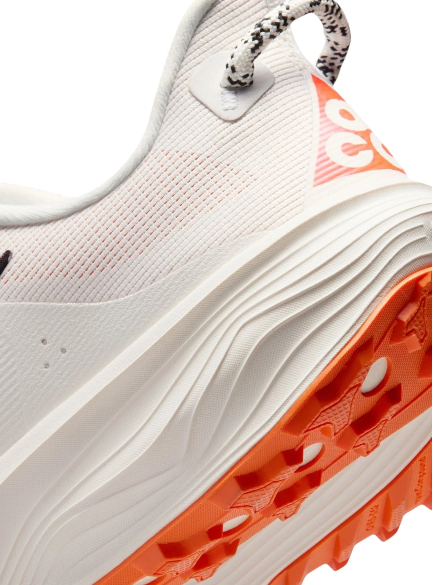 Nike ACG Pegasus Trail Mens Shoes