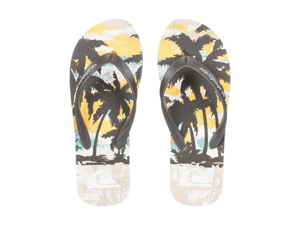 Sandalias Quiksilver Molokai Art Birch Tropicamo para Hombre