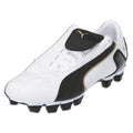 P v Kon II L I FG 01 White Bl