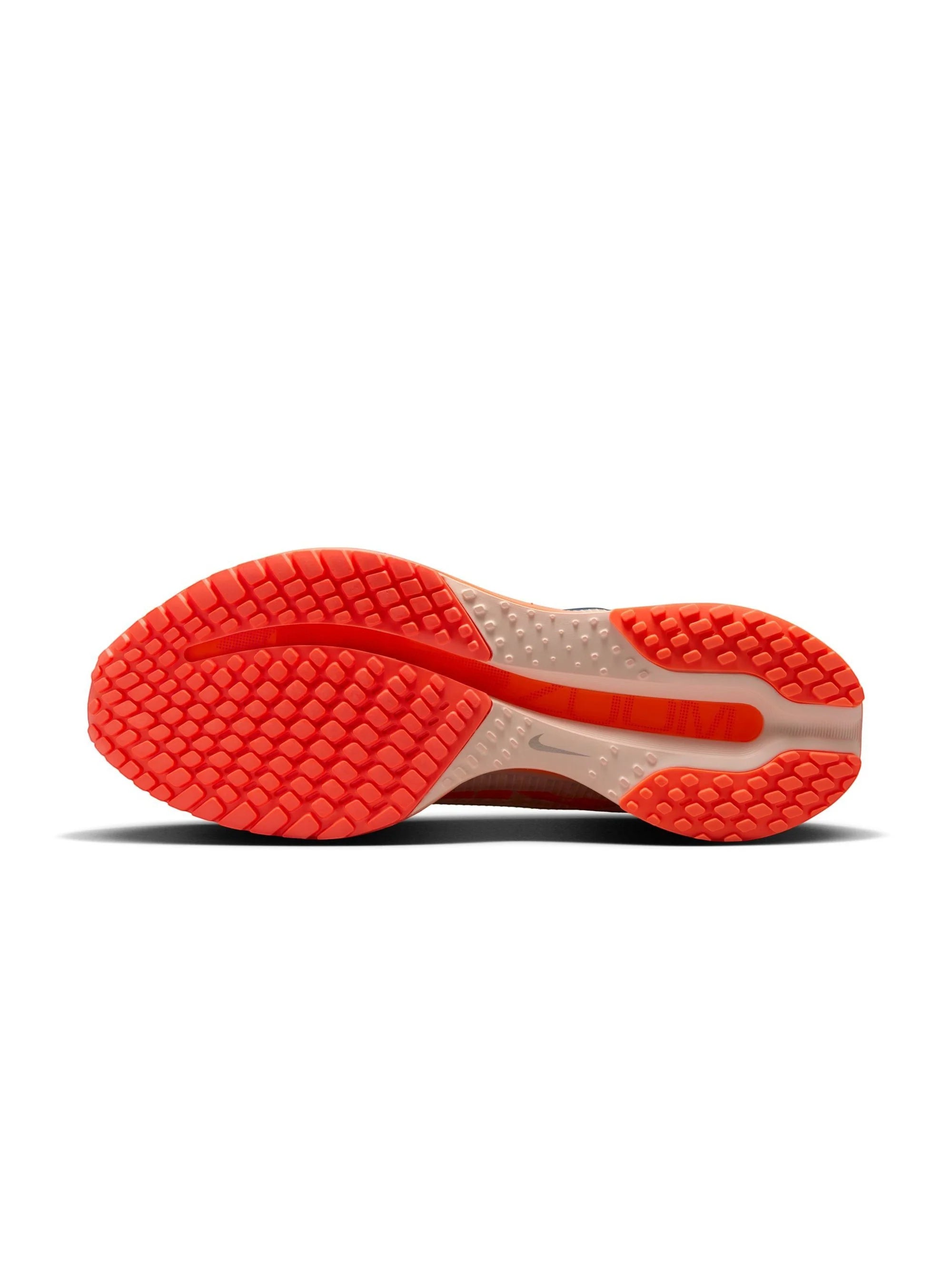 Nike Pegasus Premium Mens Shoes