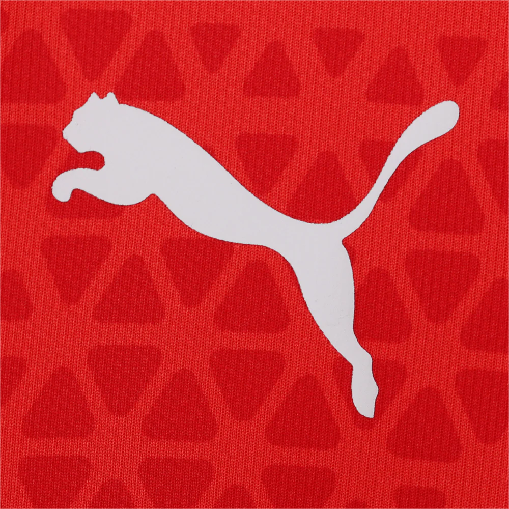 PUMA AC Milan Training Jersey