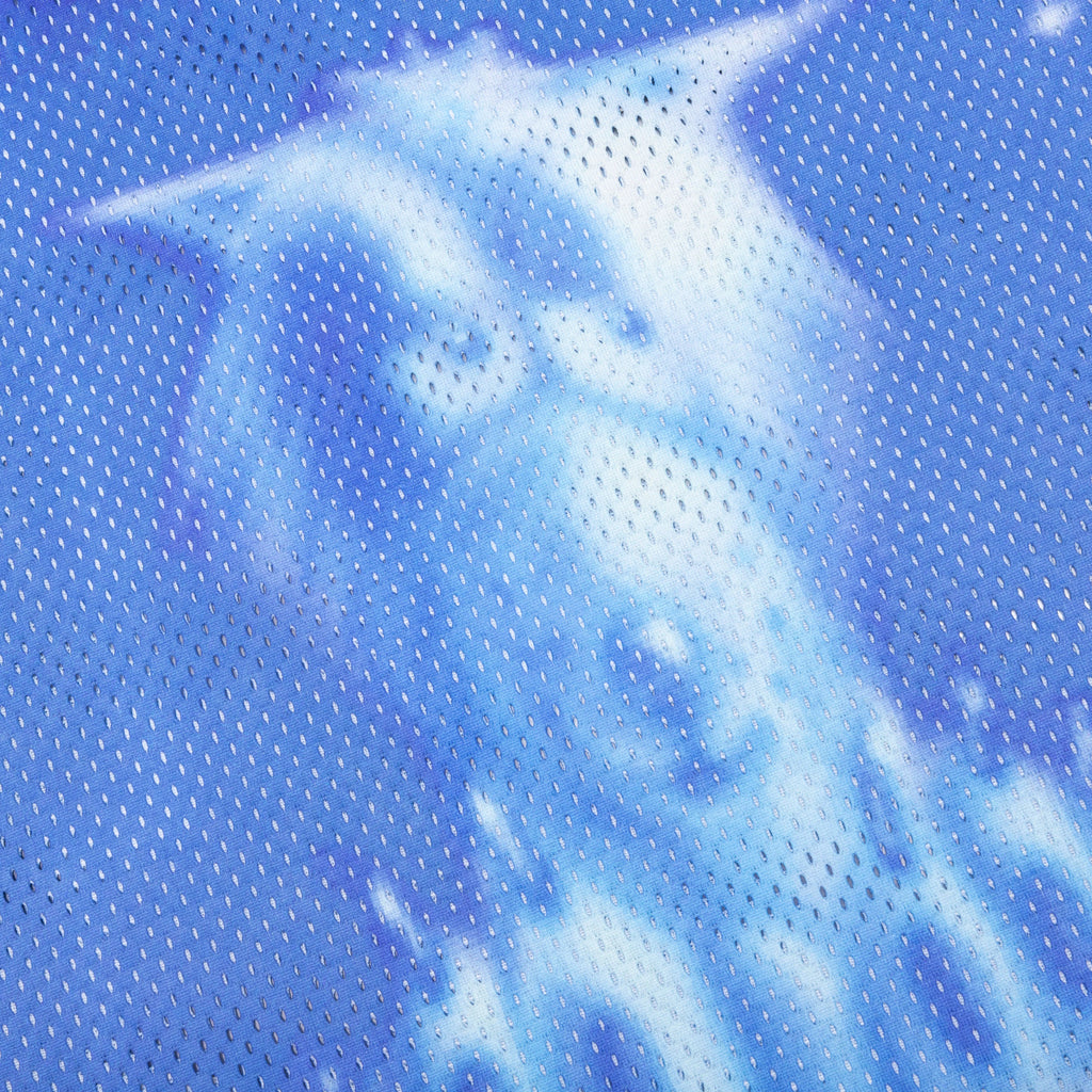 Polar Bear 4 Jersey Blue