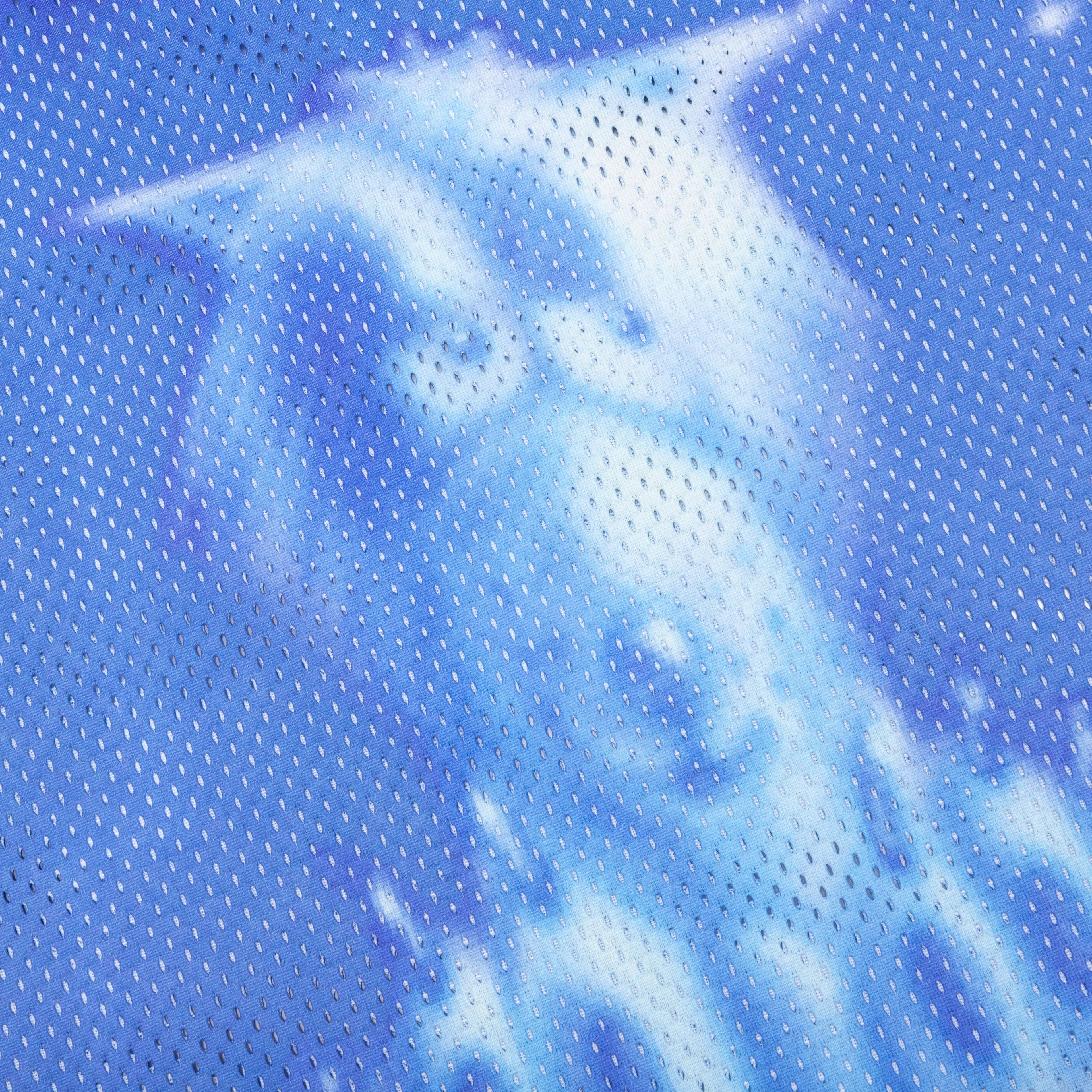 Polar Bear 4 Jersey Blue