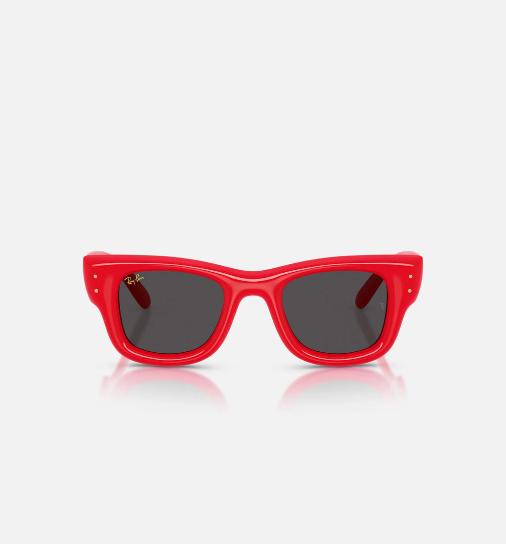 AAP Rocky x The Wayfarer Puffer Mens Sunglases Red