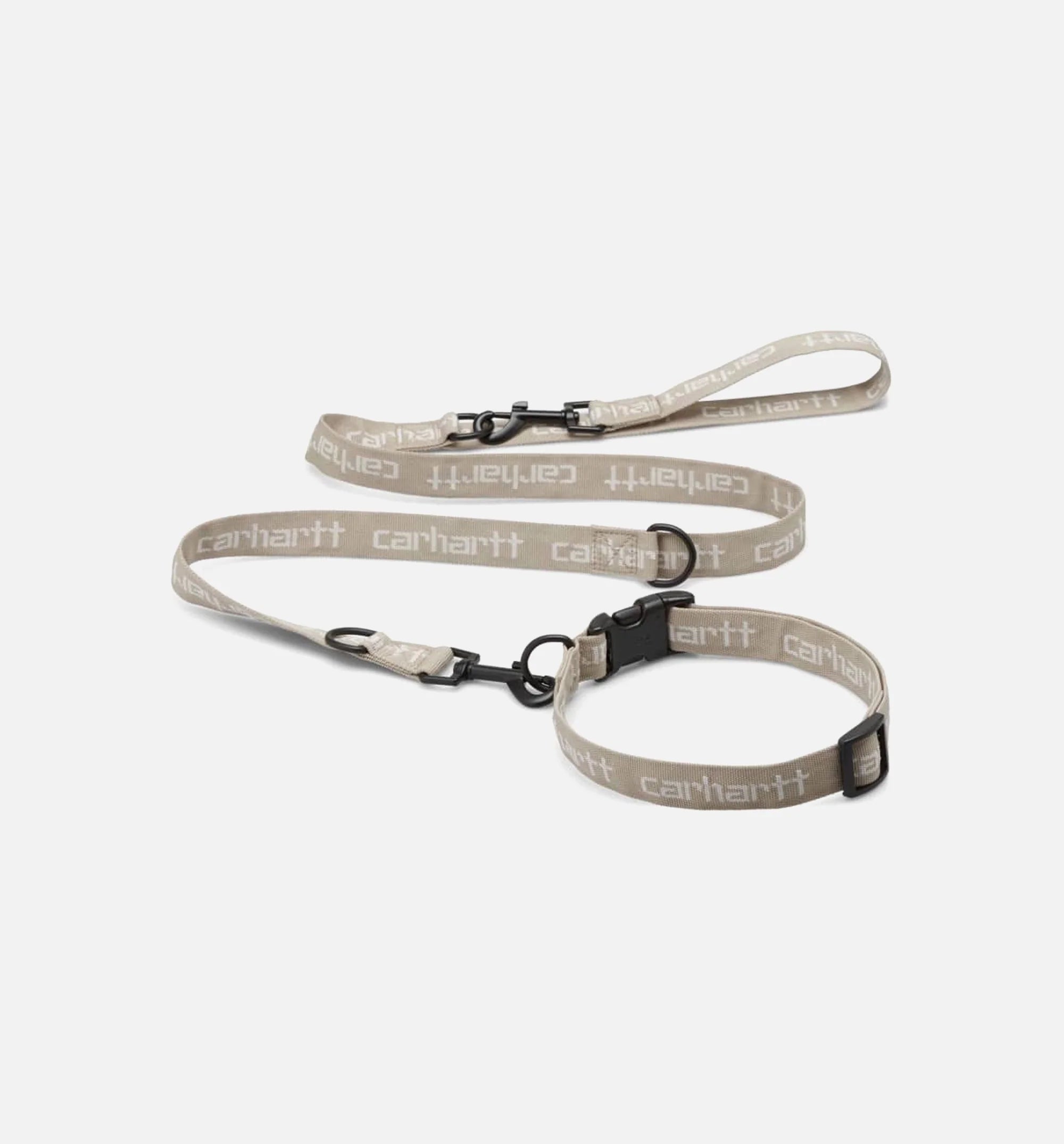 Script Dog Leash Collar Beige