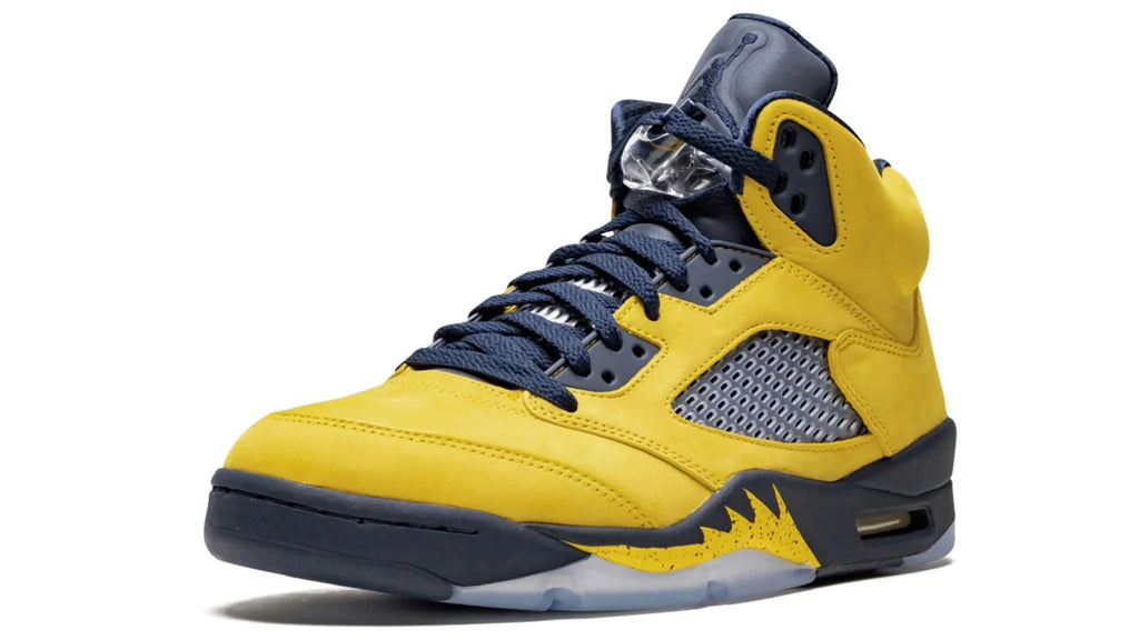 Air Jordan 5 Retro SE Michigan