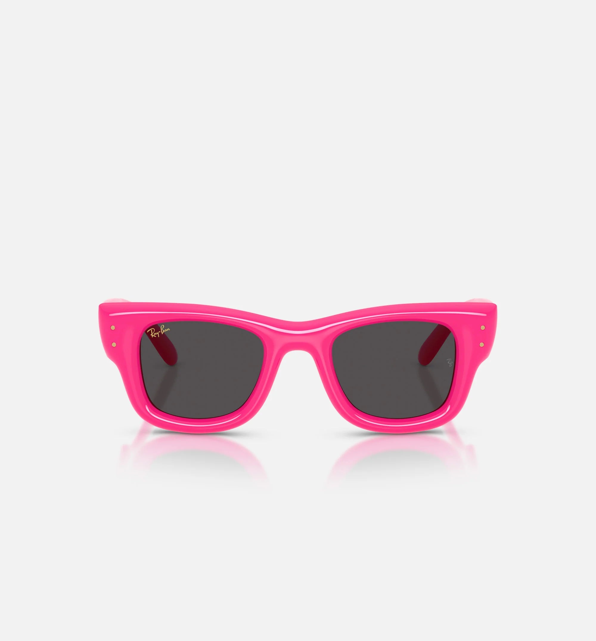 AAP Rocky x The Wayfarer Puffer Mens Sunglases Pink