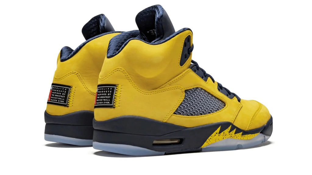 Air Jordan 5 Retro SE Michigan