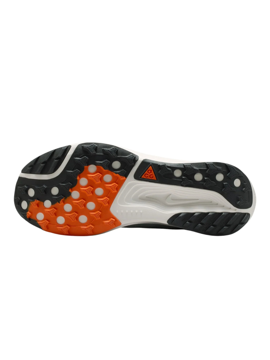 Nike ACG Pegasus Trail Mens Shoes