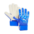 PUMA Future Match NC Goalkeeper Gloves