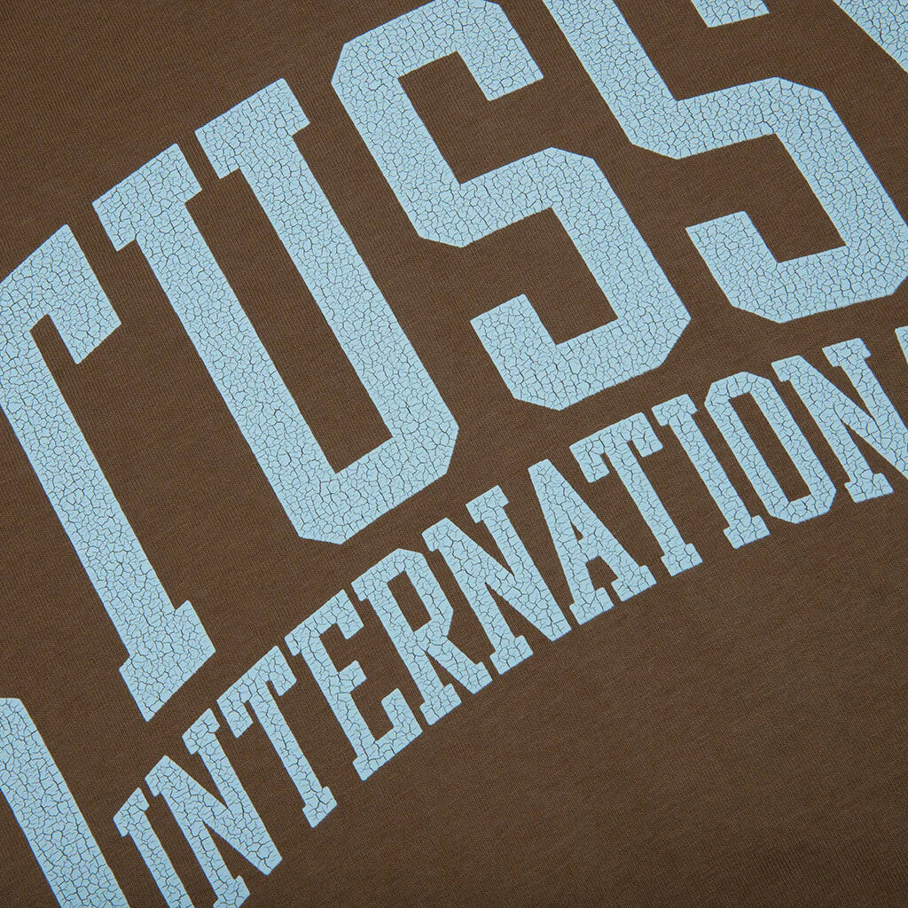 Stussy International Pigment Dyed Tee Brown