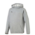 PUMA Youth Liga Hoody Grey