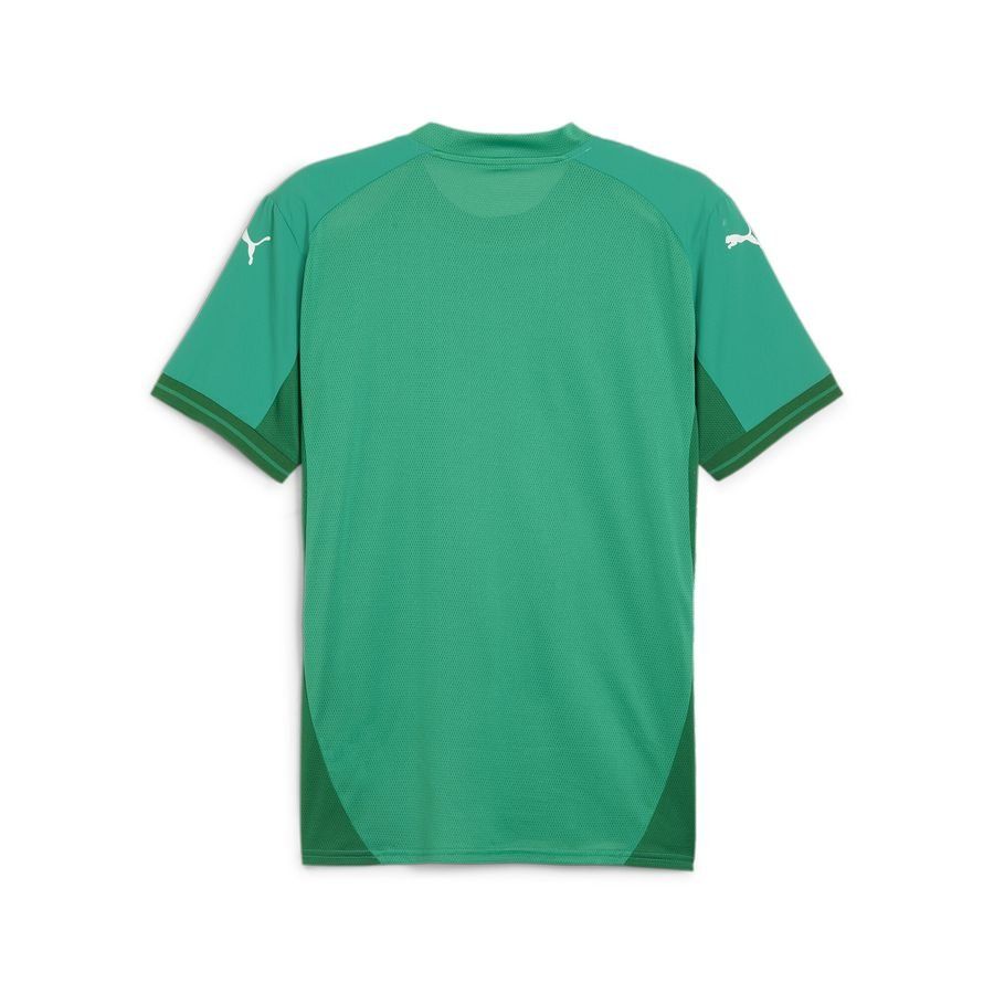 PUMA TeamFINAL Jersey