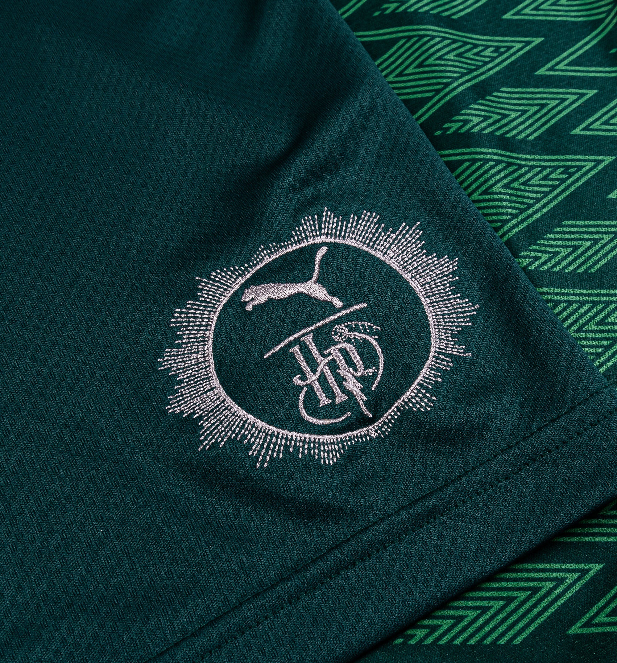 Harry Potter Slytherin Relaxed Mens Jersey Dark Green