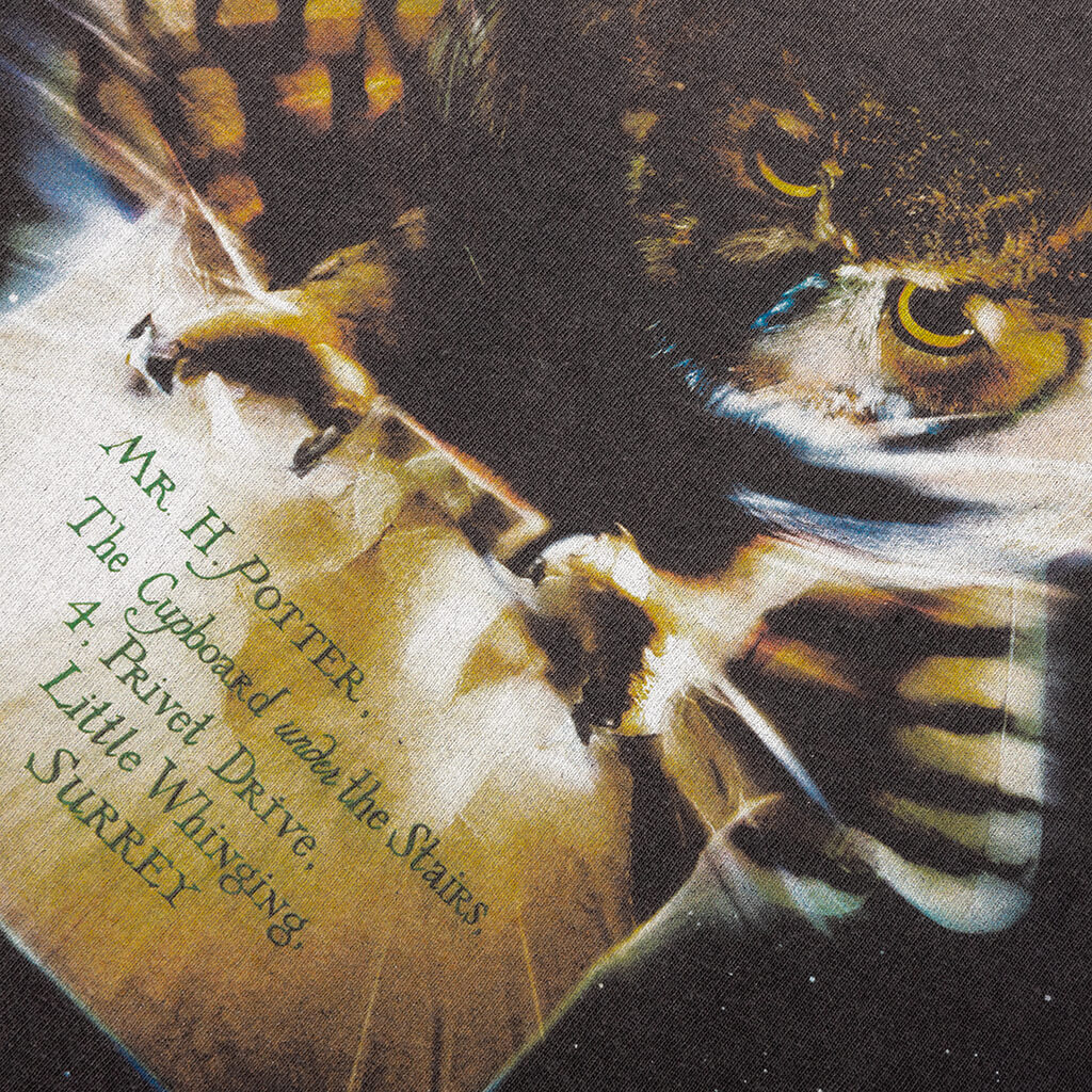 Saint M6 x Harry Potter Philosophers Stone S S Tee Black