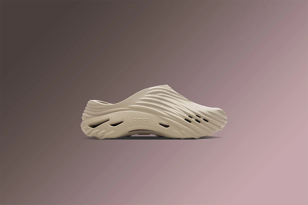 Echo Wave Moth